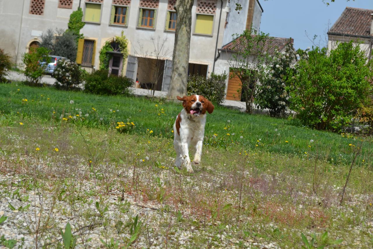Agriturismo Otto Ducati D'Oro Ізола-делла-Скала Екстер'єр фото