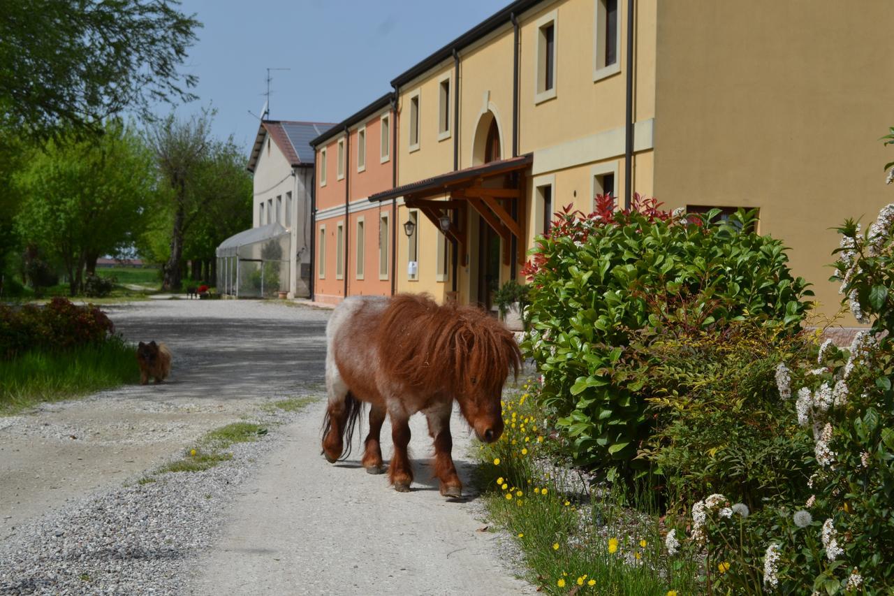 Agriturismo Otto Ducati D'Oro Ізола-делла-Скала Екстер'єр фото
